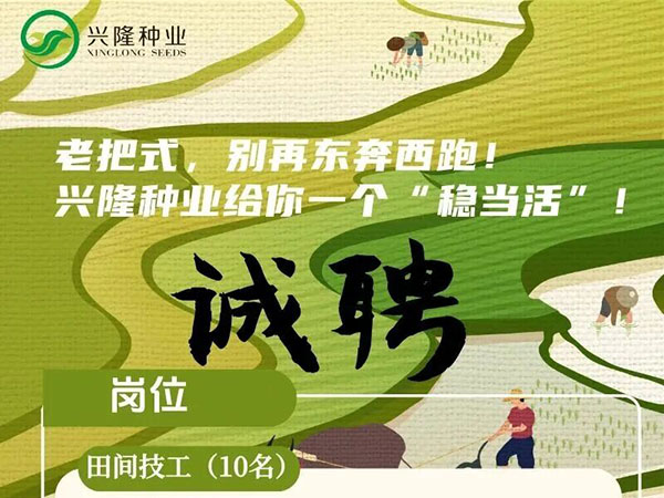 社招丨不怕你沒文憑，就怕你不敢來！招的就是能吃苦的技術好手